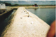 CerroGordo13.jpg