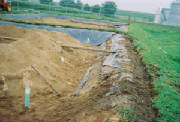 R116A.jpg