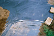 R15A.jpg