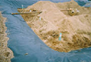 R17A.jpg
