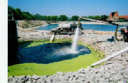 Springvalley2007-4.jpg